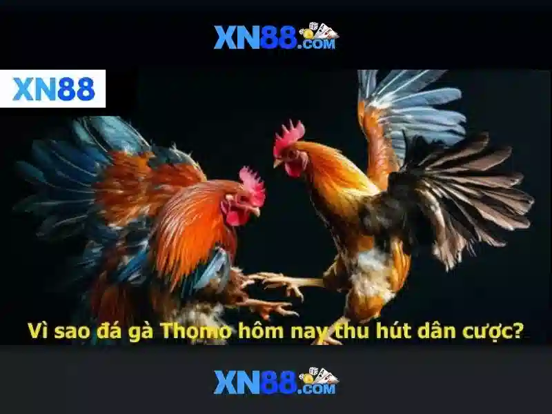 xn88: Nền tảng giải trí trực tuyến