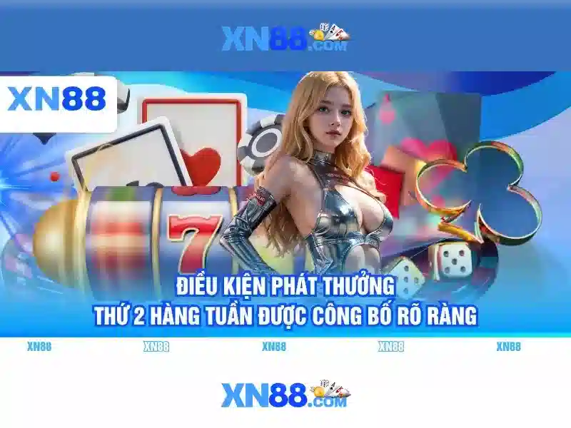 Trải nghiệm người dùng và phản hồi cộng đồng
