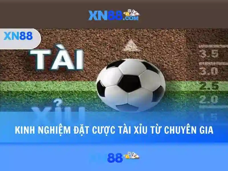 Quy mô và vị trí