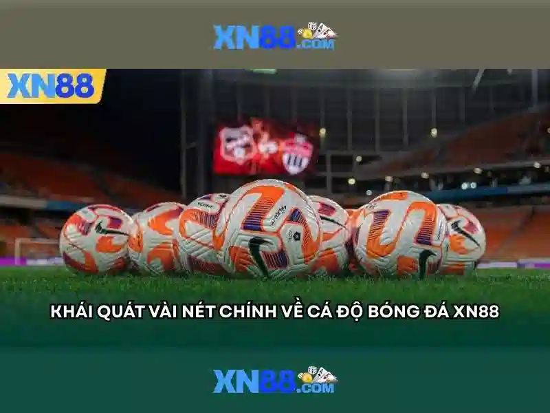 xn88 bshrf sa com – Hành trình thương hiệu và ứng dụng