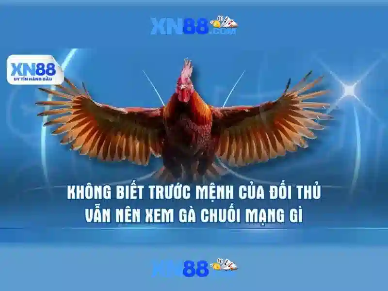 Các trò chơi và chức năng