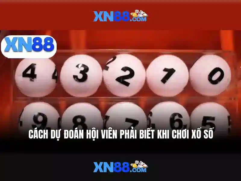 xn88: Tổng quan về nền tảng cá cược và giải trí trực tuyến