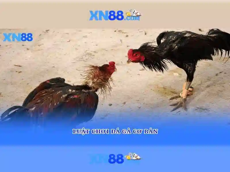 Nguồn gốc và sứ mệnh của xn88 voq33.za.com