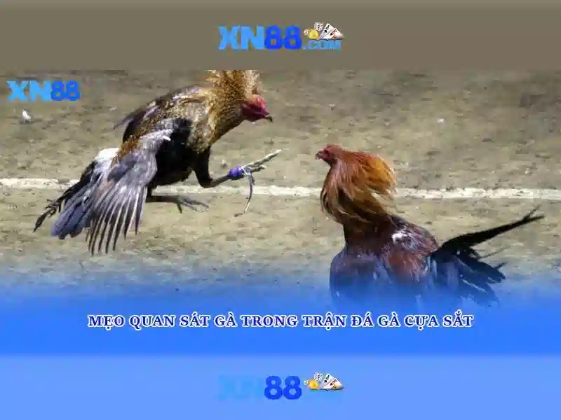 xn88: Tổng quan và đánh giá an toàn