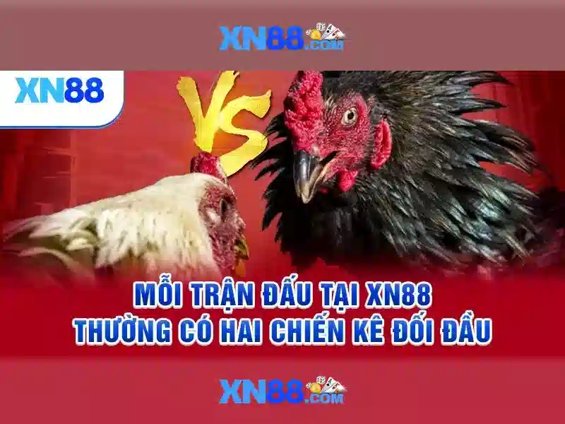Khuyến cáo và chiến lược chơi