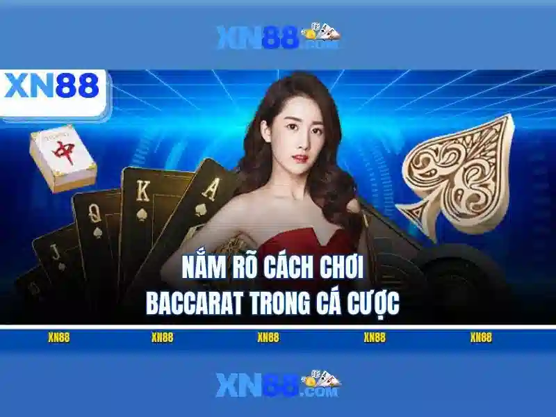 Trải nghiệm xn88] và phản hồi cộng đồng