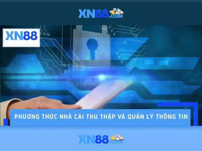 xn88 - Tổng quan về nền tảng và cộng đồng