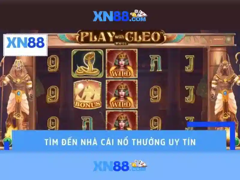 Góc nhìn tổng quan về xn88