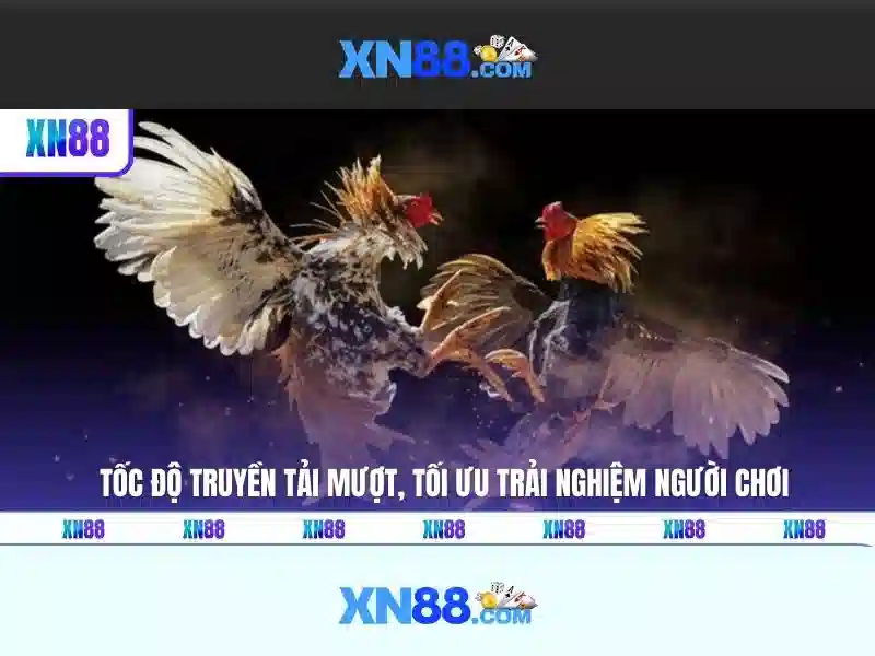 XN88: Nền tảng giải trí trực tuyến và những điều bạn cần biết