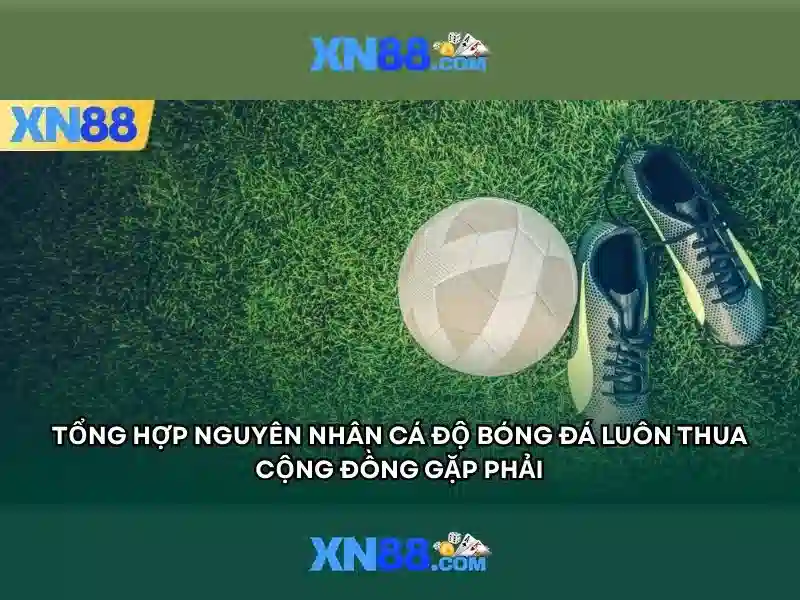 xn88: Tổng quan về nền tảng cược trực tuyến