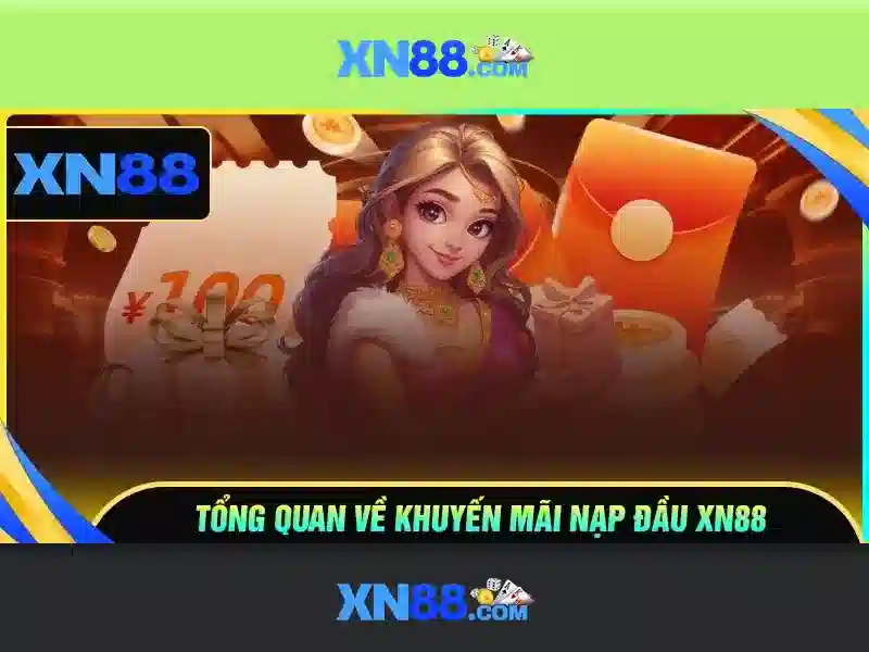 Hỗ trợ người dùng và cộng đồng