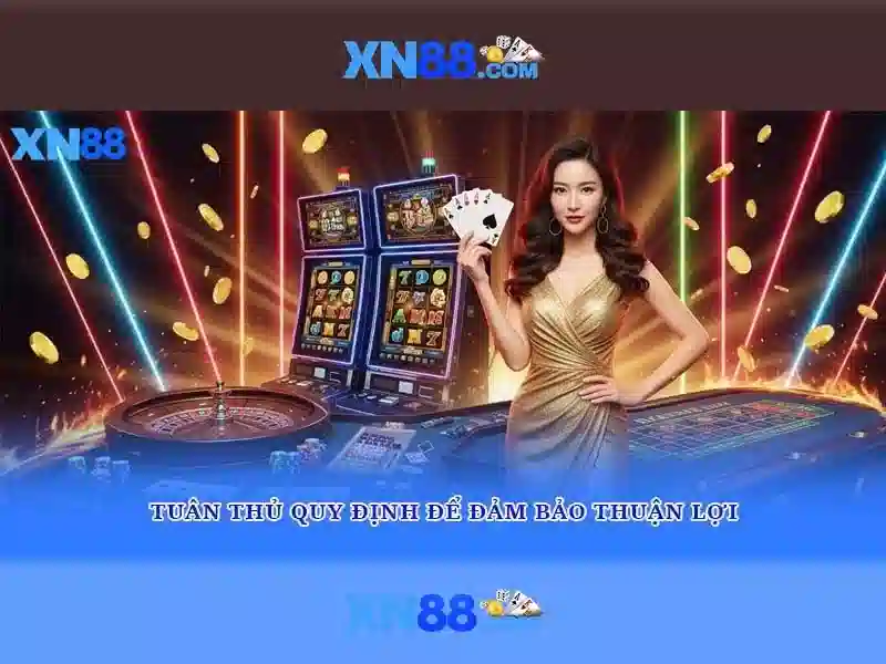 xn88: Đánh giá và hướng dẫn sử dụng
