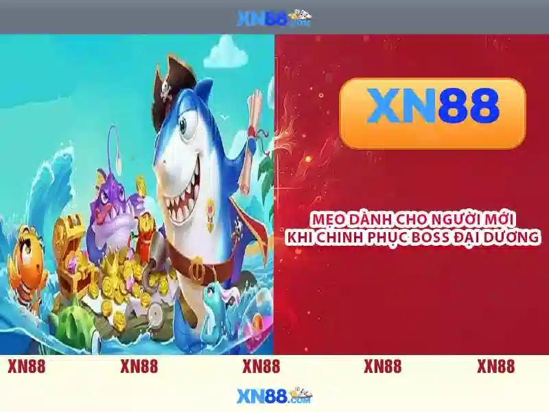 Giới thiệu về xn88