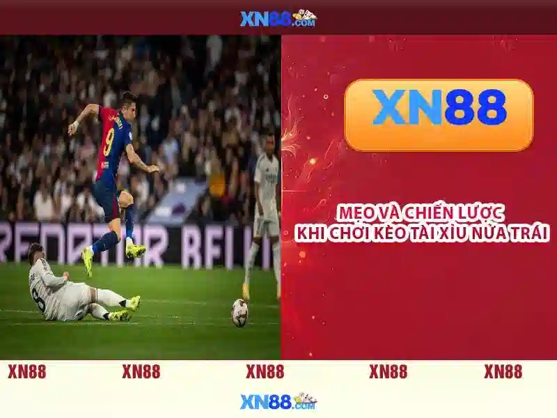 Nguồn gốc và sự phổ biến