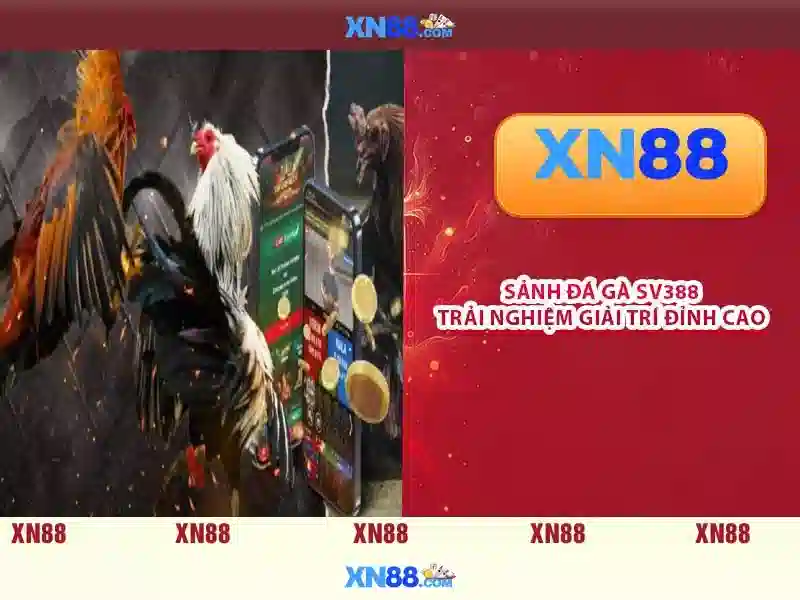 Xn88 và sự phát triển trong ngành cá cược trực tuyến