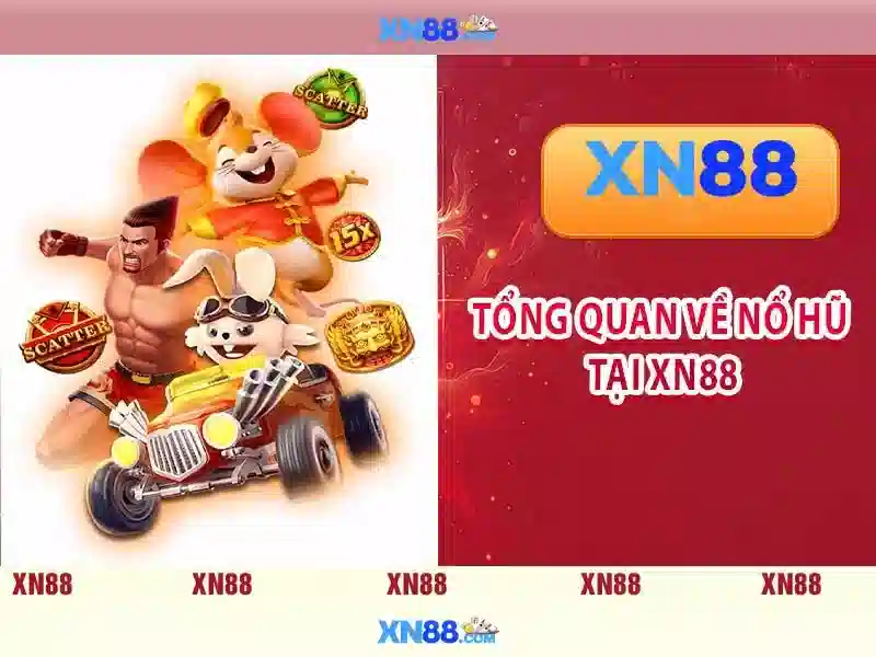 Xn88 là gì và những điều cần biết