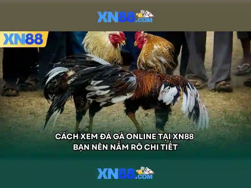 xn88 trang chủ - Nền tảng giải trí trực tuyến