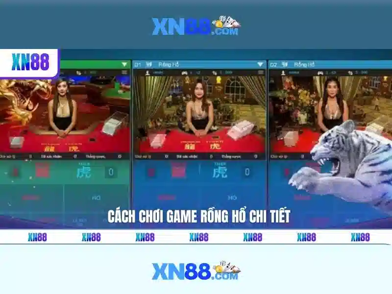 Xn88: Nền tảng giải trí trực tuyến