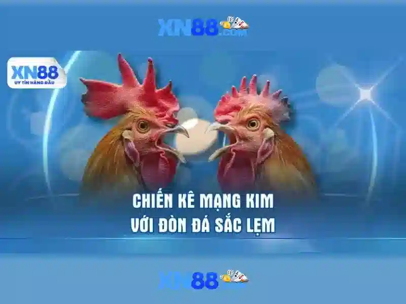 xn88: Nền tảng trò chơi trực tuyến an toàn và đa dạng