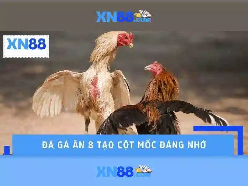xn88: một cái nhìn tổng quan về nền tảng cược trực tuyến