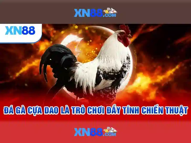  Triển vọng và tầm nhìn tương lai của xn88 