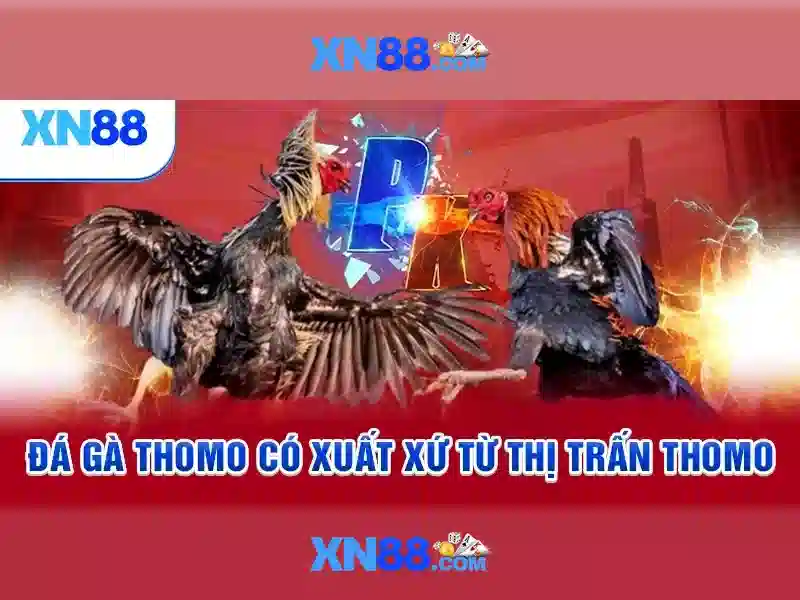 xn88: Nền tảng chơi game và cá cược trực tuyến uy tín