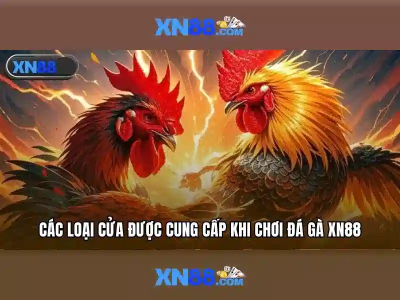 Góc nhìn tổng quan về xn88