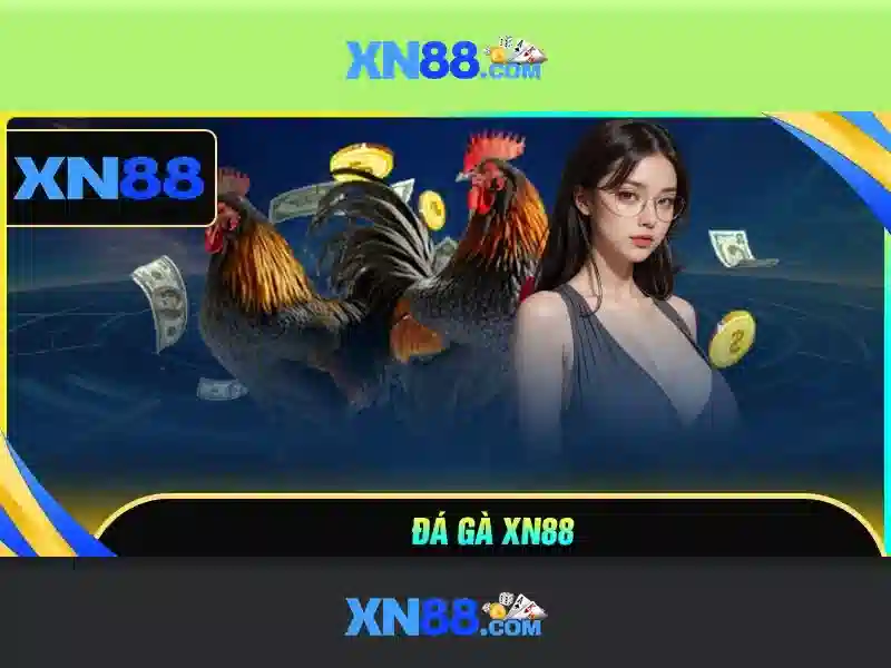 Bảo mật và trách nhiệm người chơi