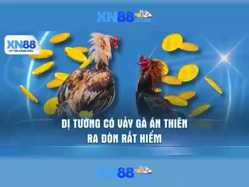 xn88 nhà cái – Trải nghiệm đỉnh cao và tiềm năng toàn cầu