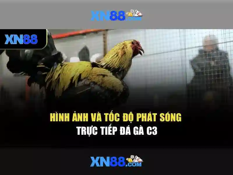 xn88: Nền tảng trực tuyến và hành trình khám phá