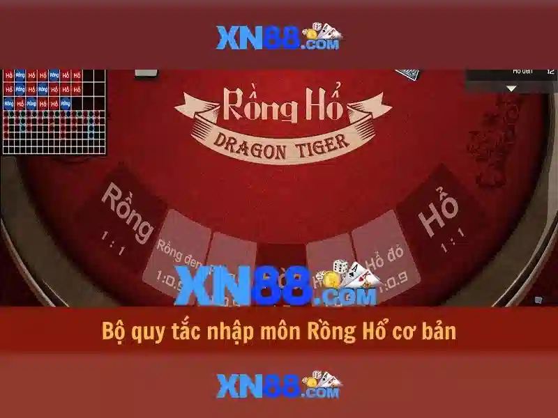 Xn88: Khám phá nền tảng cược và giải trí trực tuyến