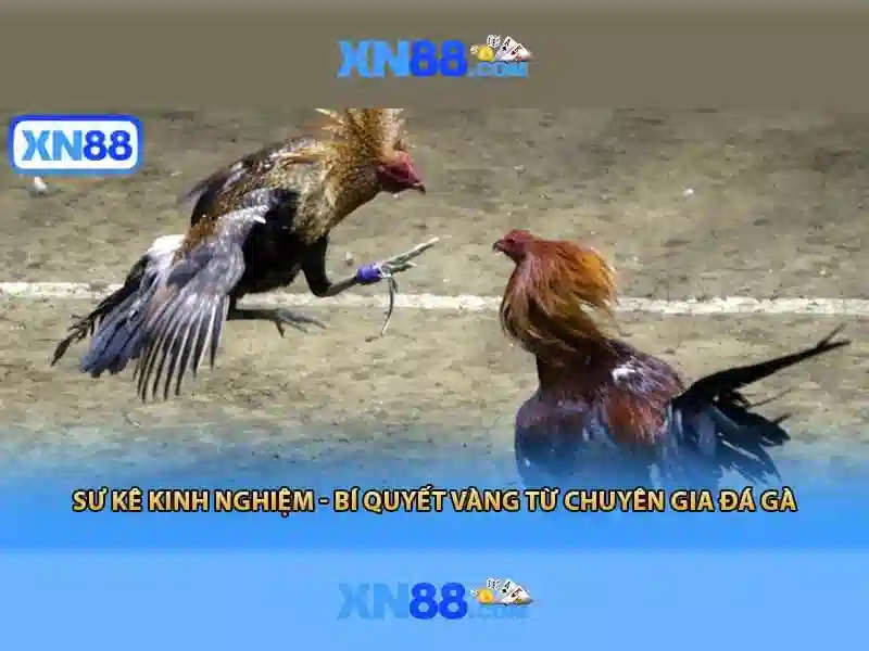 xn88 – Nền tảng trò chơi trực tuyến uy tín và tiện ích