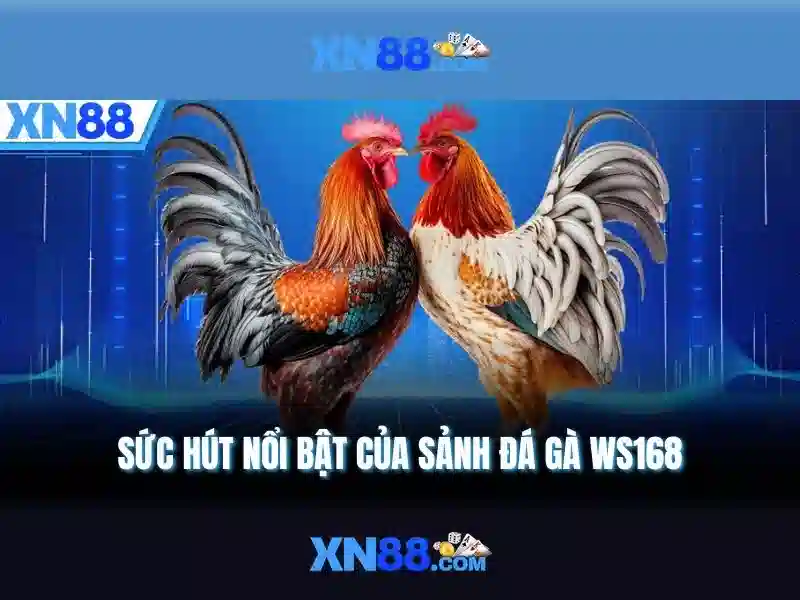 Tính năng và trò chơi có sẵn trên xn88