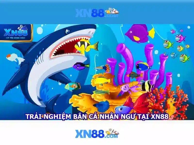 xn88: Giới thiệu về nhà cái thể thao và giải trí trên mạng