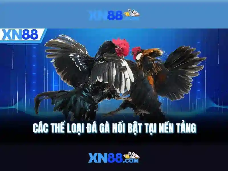 Lịch sử và cam kết của XN88