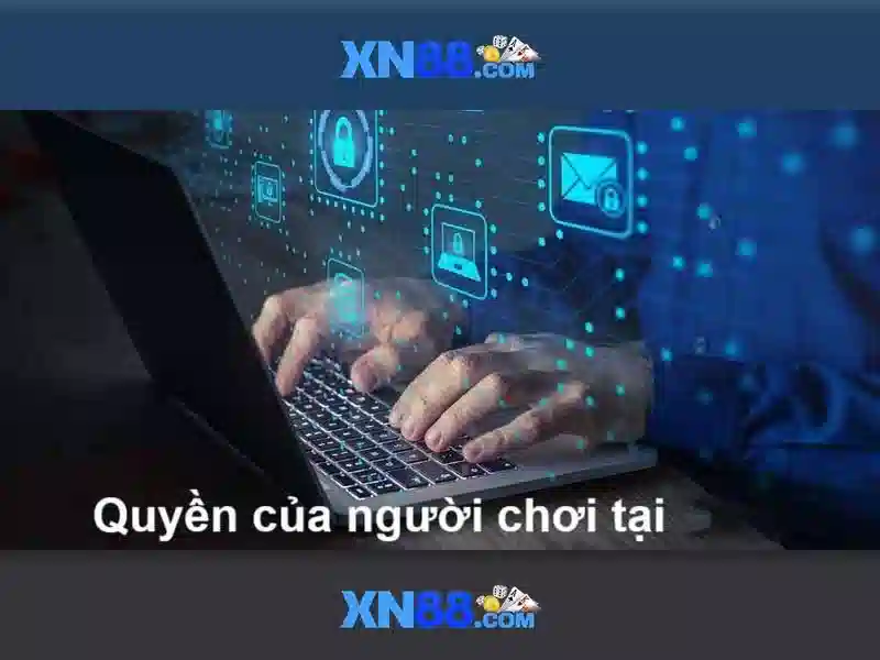 <!--IMG_PLACEHOLDER alt>Trải nghiệm người dùng và phản hồi cộng đồng-->