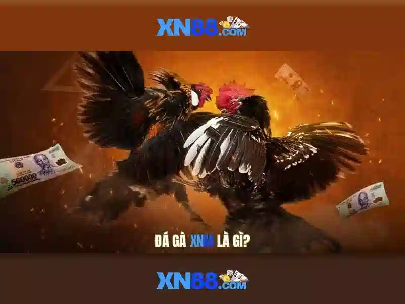 XN88: Nền tảng giải trí và cá cược trực tuyến