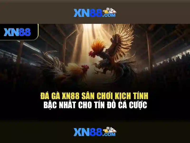 An toàn và trách nhiệm khi tham gia xn88