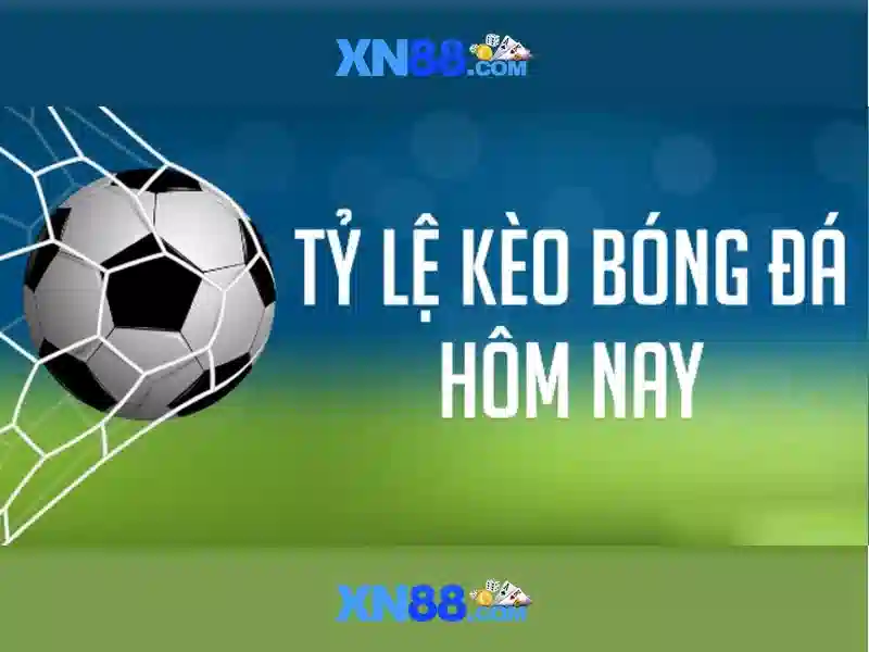 Chăm sóc khách hàng và hỗ trợ