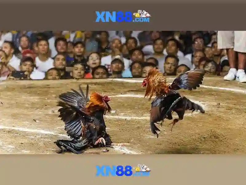 An toàn và bảo mật