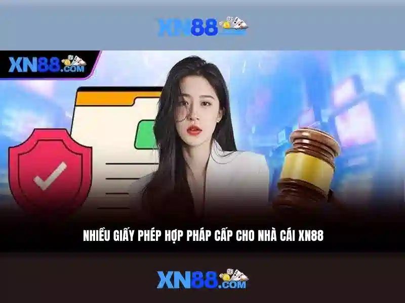 Trải nghiệm người dùng