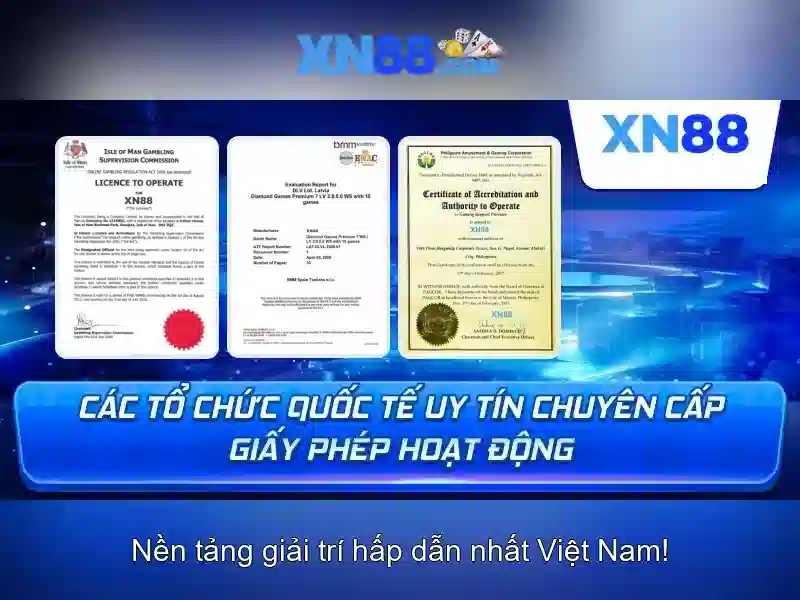 Tổng quan chủ đề và giá trị cốt lõi