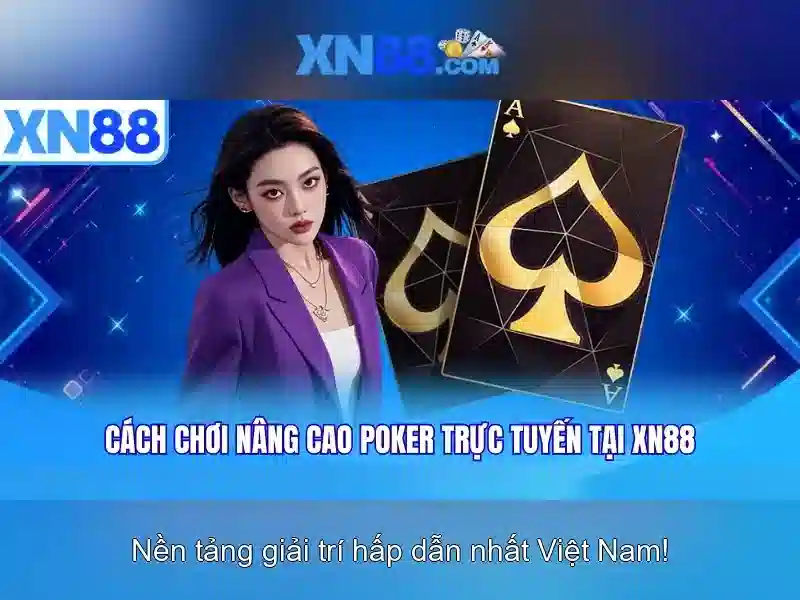 Trải nghiệm người dùng và hỗ trợ