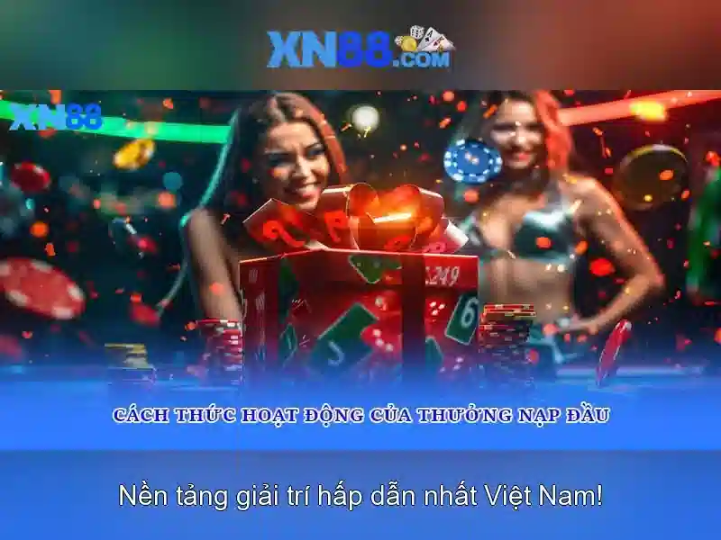 Trải nghiệm người dùng và phản hồi cộng đồng