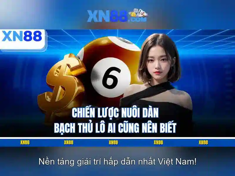 Xn88 là gì và vai trò của nó trong thế giới số