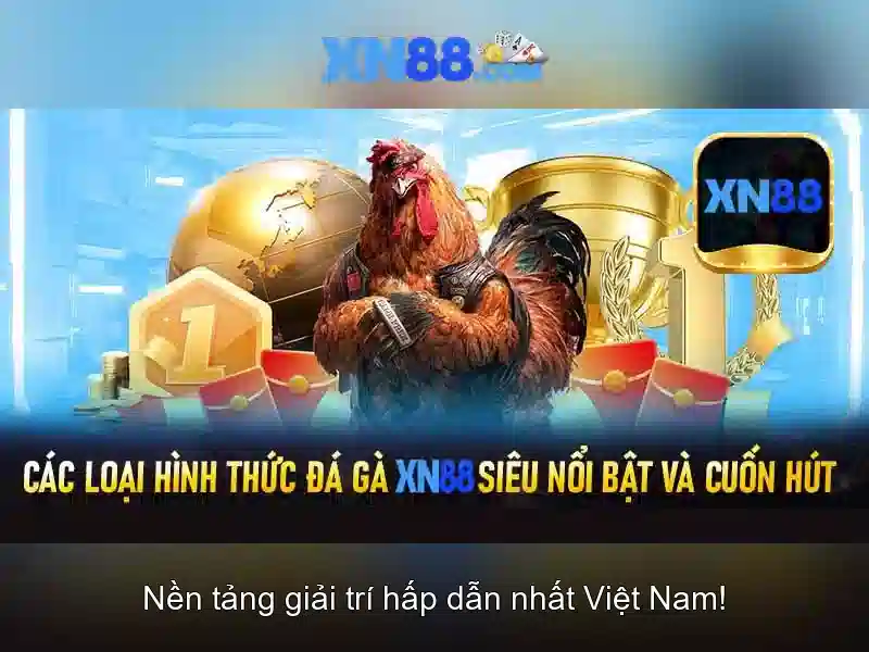 Hướng dẫn tham gia
