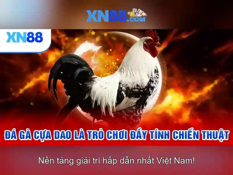 Giới thiệu về xn88 và nền tảng