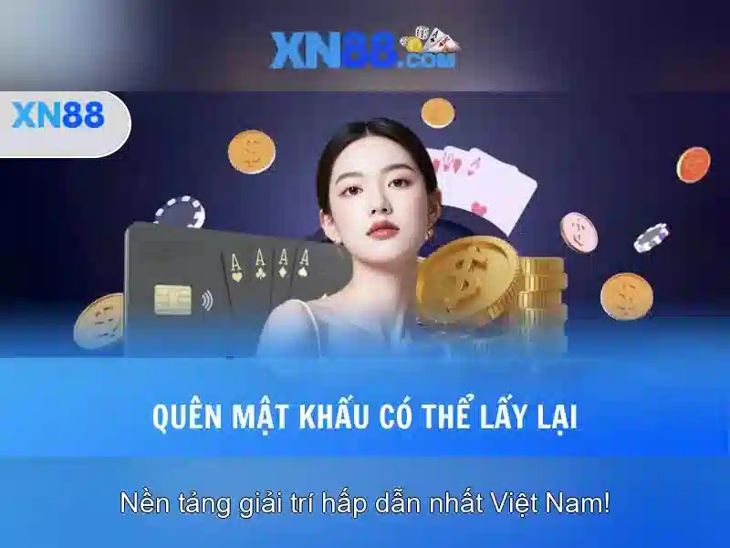 xn88 còn và hành trình thương hiệu – trải nghiệm xn88 còn