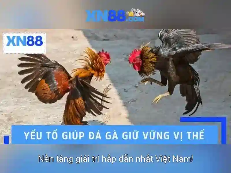 An toàn và sự hỗ trợ người dùng
