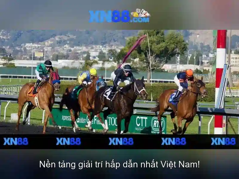 Về xn88: Nền tảng giải trí và cược trực tuyến